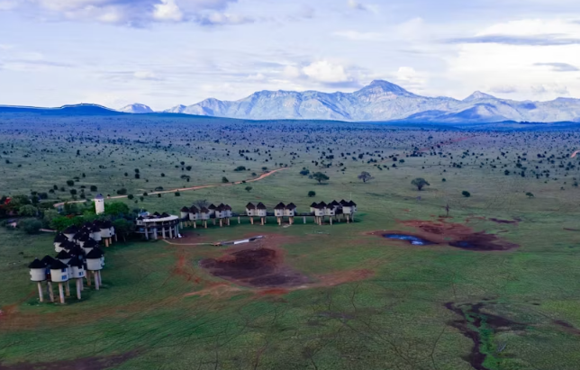 Ngutuni and Salt Lick 2-Day Safari from Mombasa - Image 5